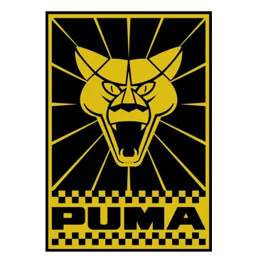 Pre\u00e7os Puma Gti | Tabela Fipe