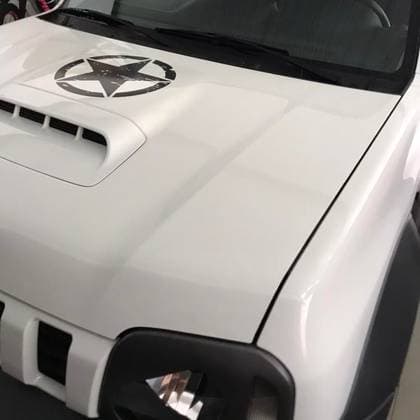 Carro 1.3 4ALL CANVAS 4X4 16V GASOLINA 2P MANUAL
