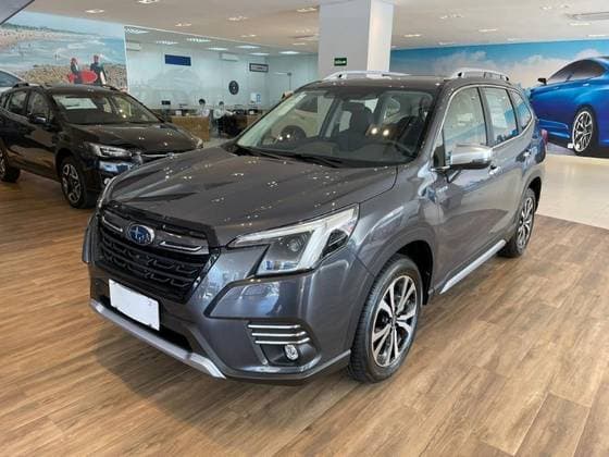 Carro 2.0 e-BOXER MHEV S AWD LINEARTRONIC