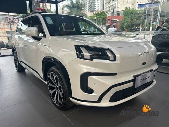 Carro 75,3 KW ELÉTRICO ELITE
