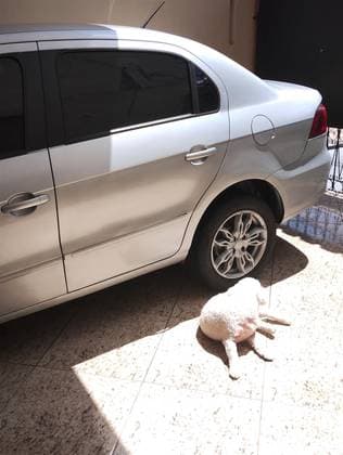 Carro 1.0 MI 8V FLEX 4P MANUAL