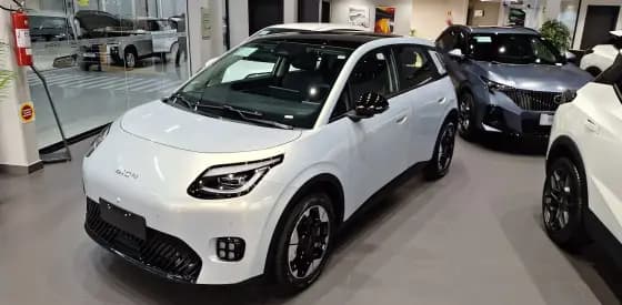 Carro 60 KW ELÉTRICO ELITE