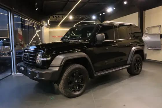 Carro 2.0 HI4-T PHEV FLEX 4X4 9HAT