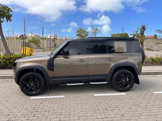 Carro 2.0 P300 GASOLINA 110 SE AWD AUTOMÁTICO