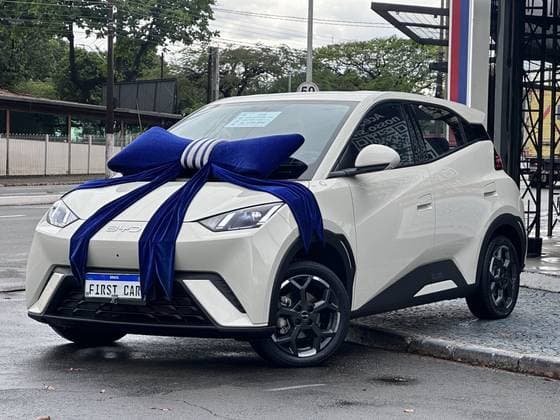 Carro 38 KW ELÉTRICO GS