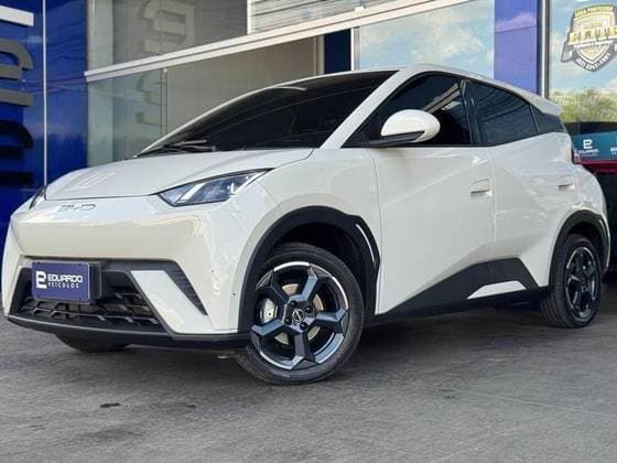 Carro 38 KW ELÉTRICO GS