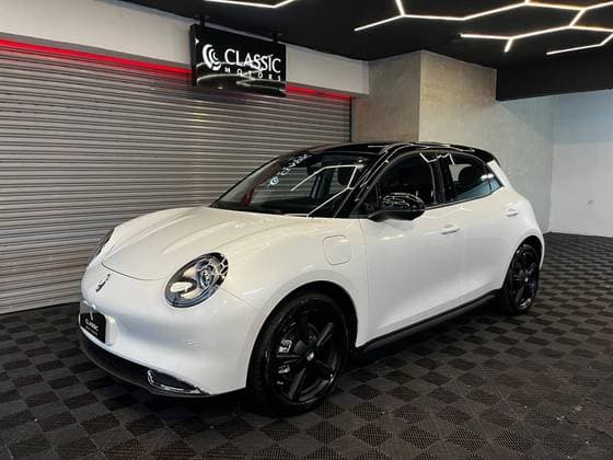 Carro 58 KW ELÉTRICO BEV58