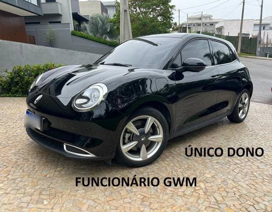 Carro 48 KW ELÉTRICO SKIN