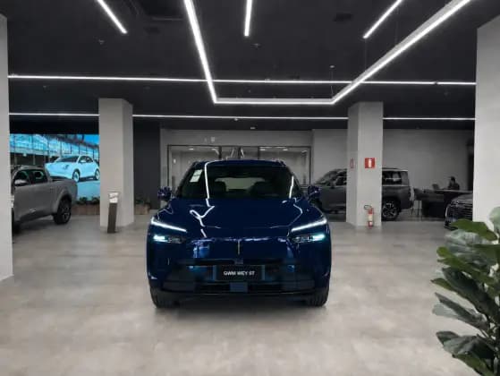 Carro 1.5 TURBO PHEV AWD DHT