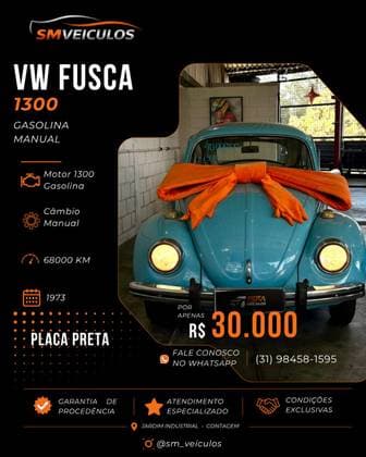 Carro 1.3 8V ÁLCOOL 2P MANUAL
