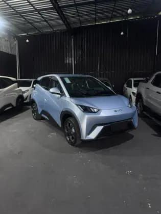 Carro 38 KW ELÉTRICO GS