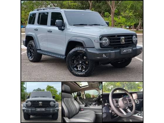 Carro 2.0 HI4-T PHEV 4X4 9HAT