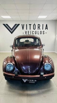 Carro 1.3 8V ÁLCOOL 2P MANUAL
