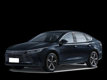 BYD KING