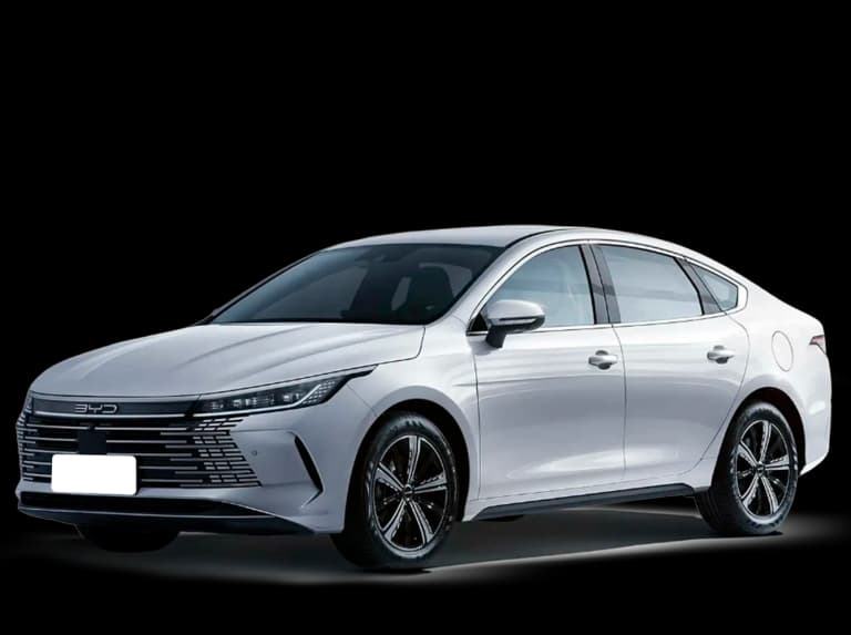 Byd King Imagem de Byd King