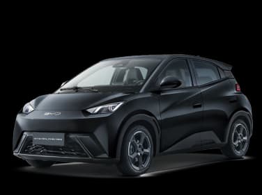 BYD DOLPHIN MINI