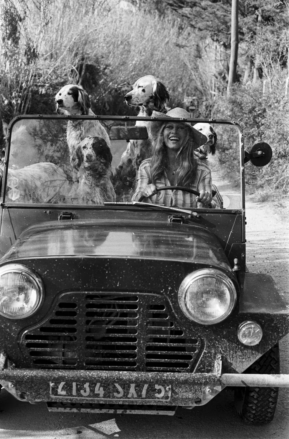 French Actress Brigitte Bardot With Her Dogs Driving A Mini Moke In France 1980