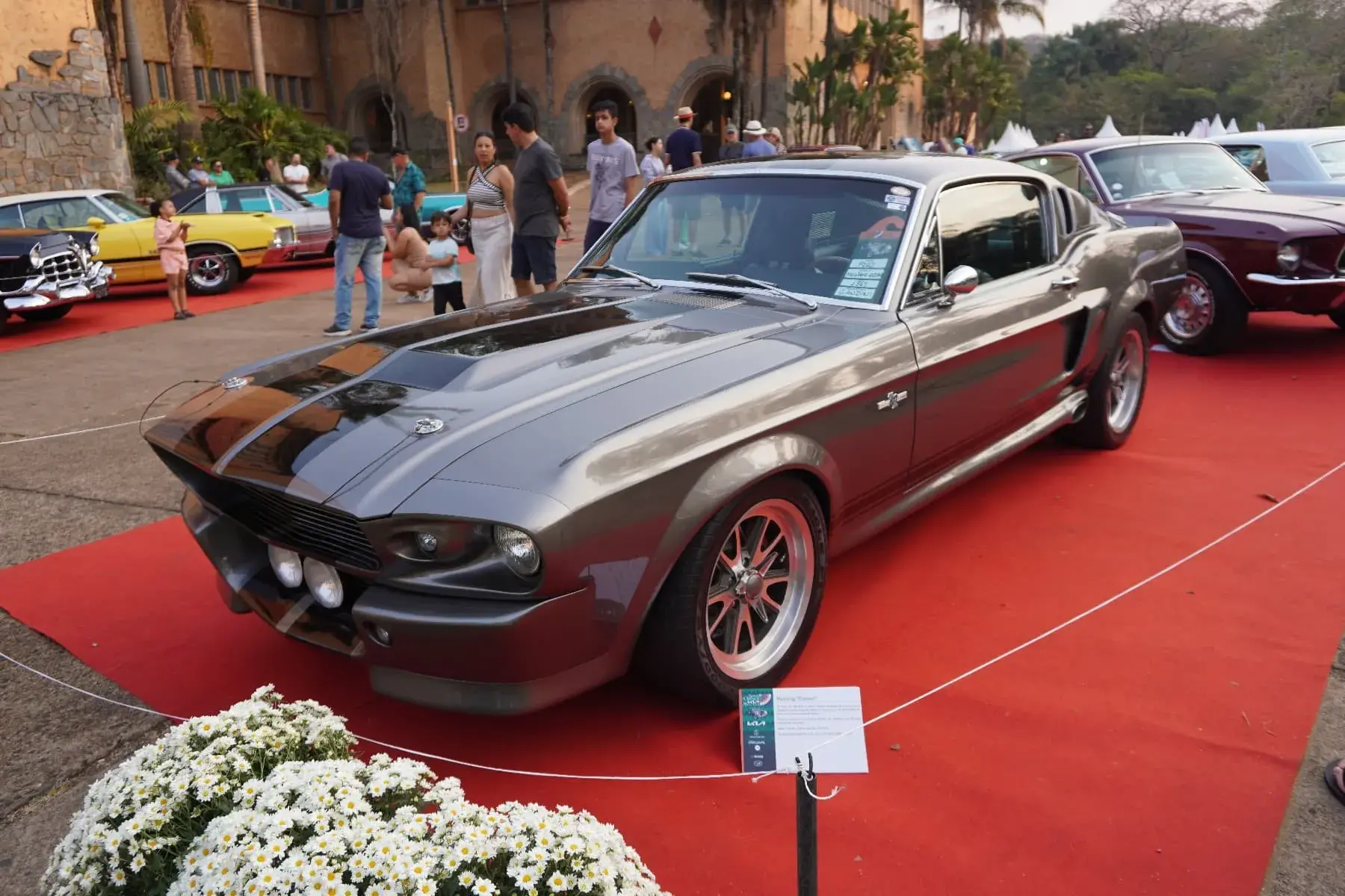 Mustang Shelby Gt500 ‘eleanor’ 1967 (1)